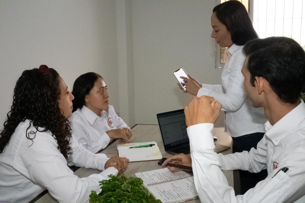Equipo interdisciplinario de consultores en SST de Nexoss Consulting SAS